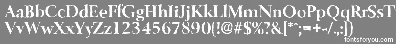 フォントBelfastantiqueBold – 灰色の背景に白い文字