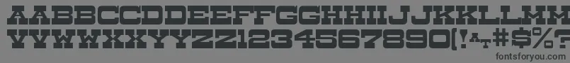 DryGoodsJl Font – Black Fonts on Gray Background