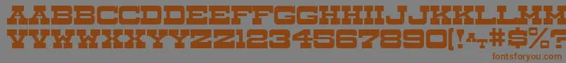 DryGoodsJl Font – Brown Fonts on Gray Background
