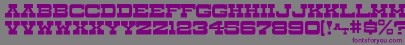 DryGoodsJl Font – Purple Fonts on Gray Background
