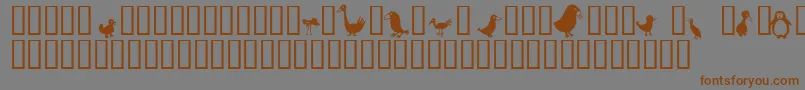 Czcionka Birds – brązowe czcionki na szarym tle
