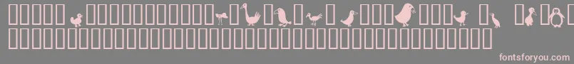 Więcej informacji o czcionce Birds Czcionka Birds – różowe czcionki na szarym tle