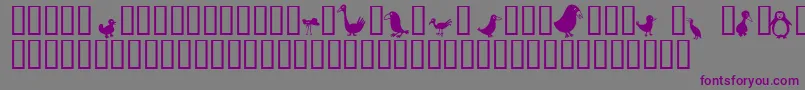 Birds-fontti – violetit fontit harmaalla taustalla