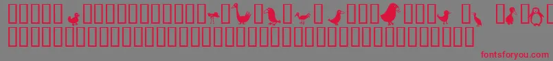 Birds-Schriftart – Rote Schriften auf grauem Hintergrund