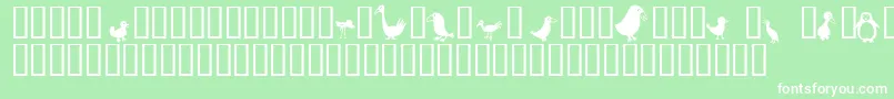 フォントBirds – 緑の背景に白い文字