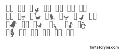 Обзор шрифта Birds