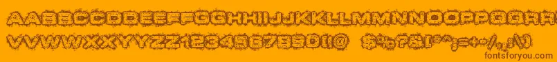 DystopianFuture Font – Brown Fonts on Orange Background