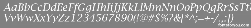 フォントLucidaBrightItalic – 灰色の背景に白い文字