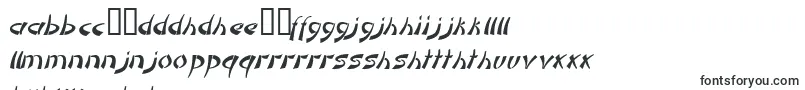 DomoaregatoItalic Font – Nyanja Fonts