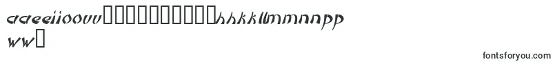 DomoaregatoItalic Font – Hawaiian Fonts