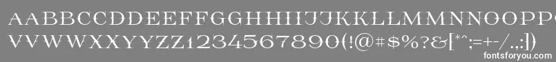 Prida65 Font – White Fonts on Gray Background