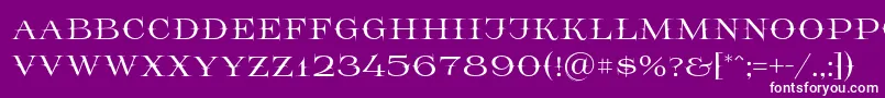 Prida65 Font – White Fonts on Purple Background