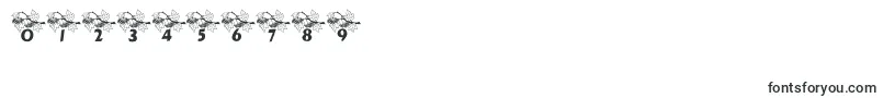 LcrAutumn Font – Fonts for Numbers and Digits