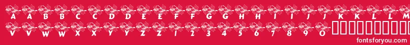 LcrAutumn Font – White Fonts on Red Background