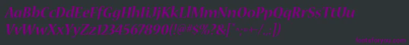 Więcej informacji o czcionce NuevastdBolditalic Czcionka NuevastdBolditalic – fioletowe czcionki na czarnym tle