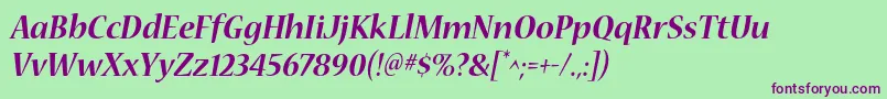 NuevastdBolditalic Font – Purple Fonts on Green Background