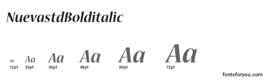 NuevastdBolditalic Font Sizes
