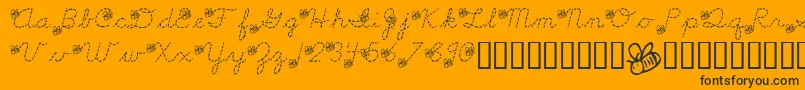 LmsSpellingBee-Schriftart – Schwarze Schriften auf orangefarbenem Hintergrund