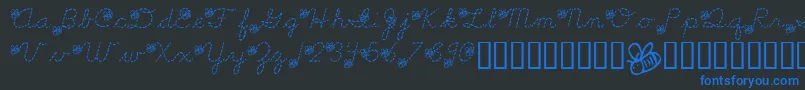 LmsSpellingBee Font – Blue Fonts on Black Background