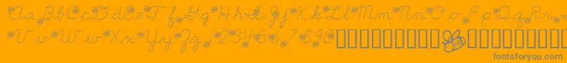 LmsSpellingBee Font – Gray Fonts on Orange Background