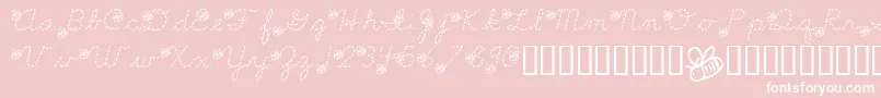 LmsSpellingBee Font – White Fonts on Pink Background