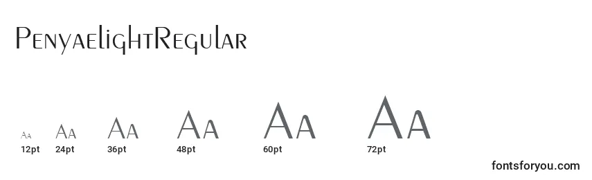 Размеры шрифта PenyaelightRegular