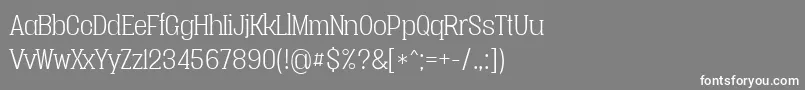 Vacerseriflightpersonal Font – White Fonts on Gray Background