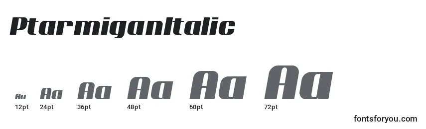 Размеры шрифта PtarmiganItalic
