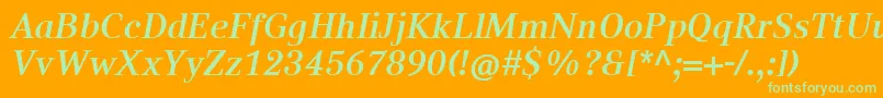 CompatilTextLtComBoldItalic Font – Green Fonts on Orange Background