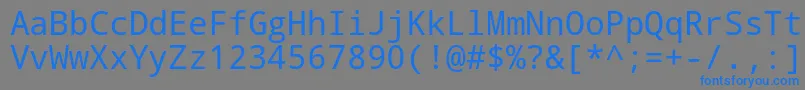 フォントDroid Sans Mono – 灰色の背景に青い文字