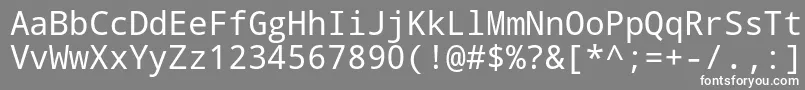 Droid Sans Mono Font – White Fonts on Gray Background
