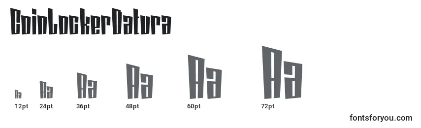 CoinLockerDatura Font Sizes