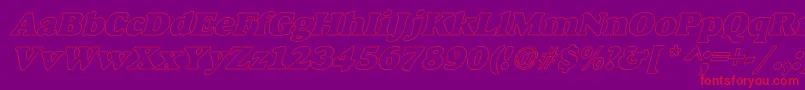 AlexussHeavyHollIItalic Font – Red Fonts on Purple Background