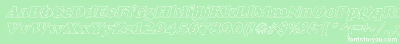 AlexussHeavyHollIItalic Font – White Fonts on Green Background