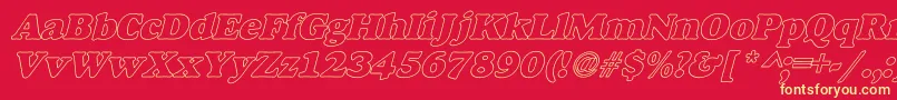 AlexussHeavyHollIItalic Font – Yellow Fonts on Red Background