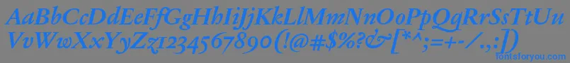 JannonTModerneProBoldItalic Font – Blue Fonts on Gray Background