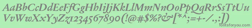 JannonTModerneProBoldItalic Font – Gray Fonts on Green Background