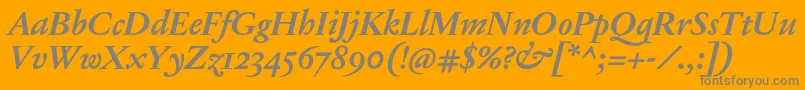 JannonTModerneProBoldItalic Font – Gray Fonts on Orange Background