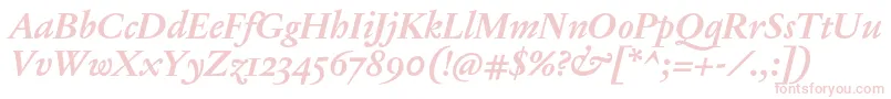 JannonTModerneProBoldItalic Font – Pink Fonts on White Background