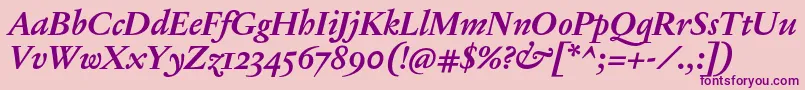 JannonTModerneProBoldItalic Font – Purple Fonts on Pink Background