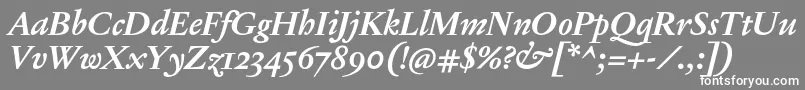 フォントJannonTModerneProBoldItalic – 灰色の背景に白い文字