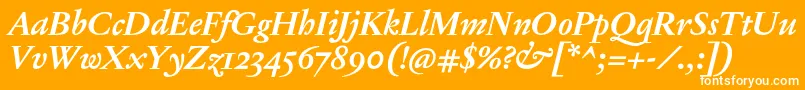 JannonTModerneProBoldItalic-Schriftart – Weiße Schriften auf orangefarbenem Hintergrund