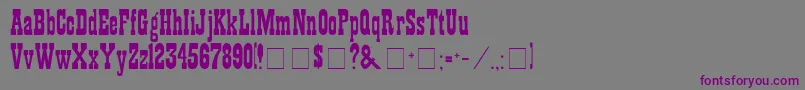 ShowguideNormal Font – Purple Fonts on Gray Background