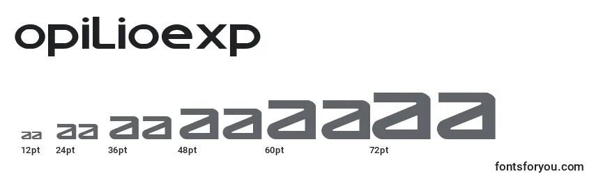 Opilioexp Font Sizes