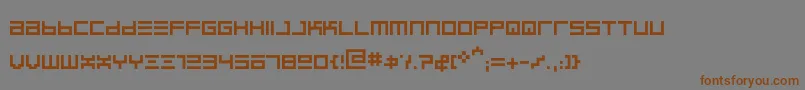 Police BinregularRegular – polices brunes sur fond gris