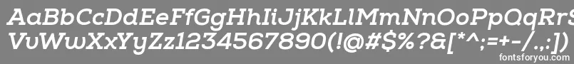 NexaSlabXboldItalic Font – White Fonts on Gray Background