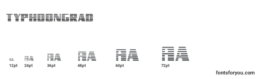 Typhoongrad Font Sizes