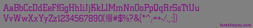 Шрифт Citydlig – фиолетовые шрифты на сером фоне