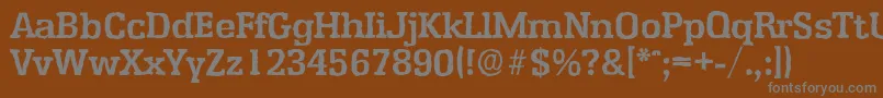 EnschedeantiqueBold Font – Gray Fonts on Brown Background