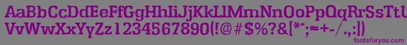 EnschedeantiqueBold Font – Purple Fonts on Gray Background